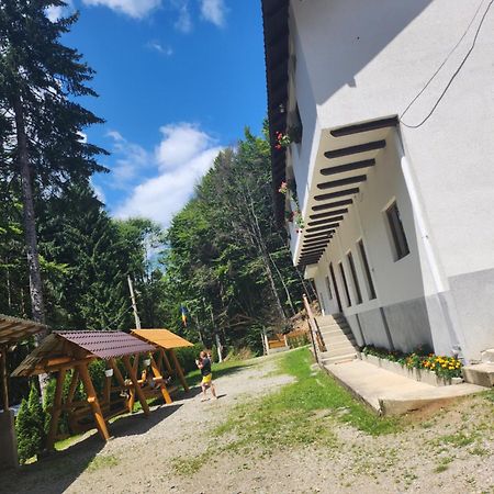 Cabana Valea Bradului Nucsoara  Ngoại thất bức ảnh