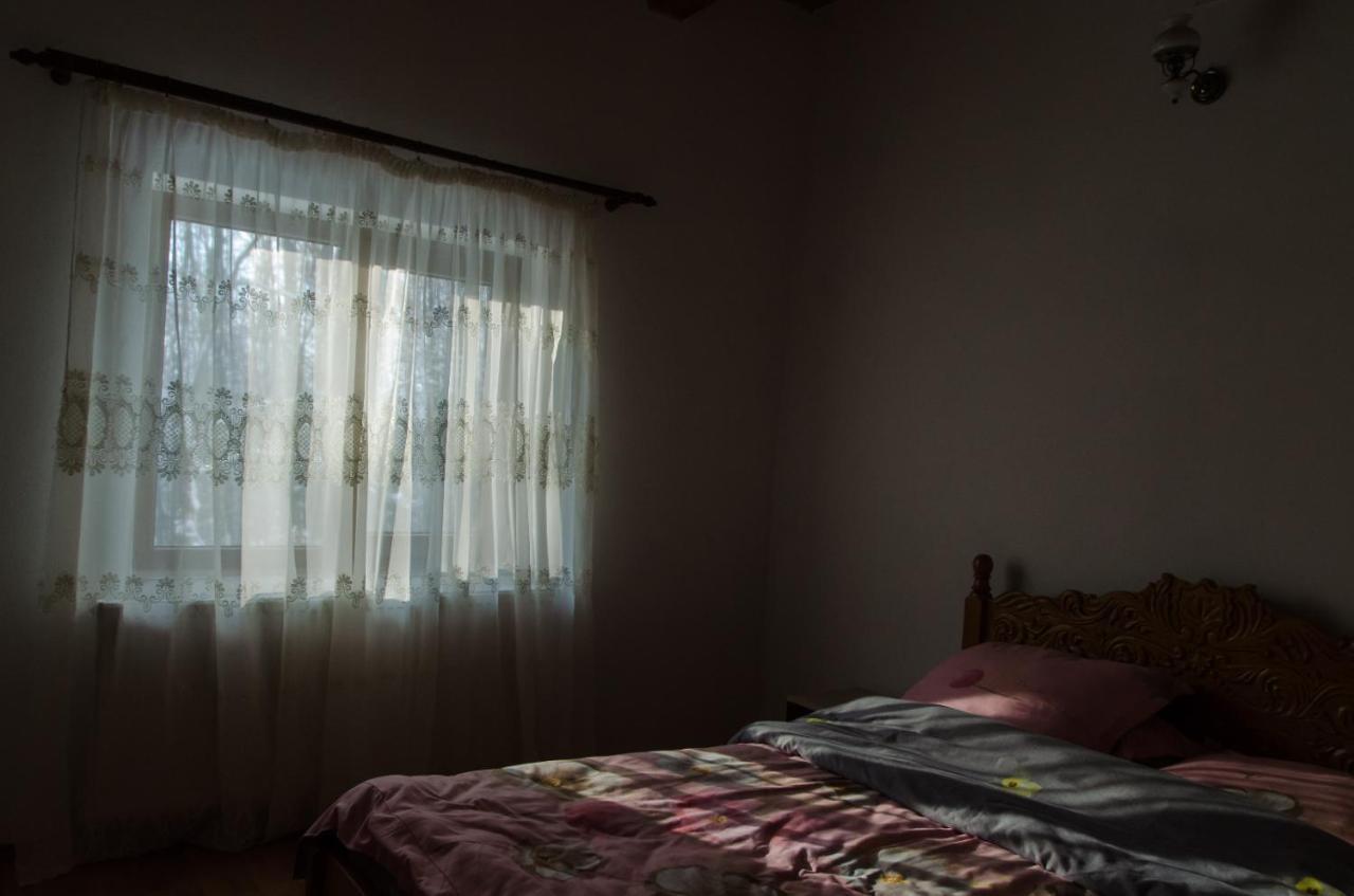 Cabana Valea Bradului Nucsoara  Ngoại thất bức ảnh