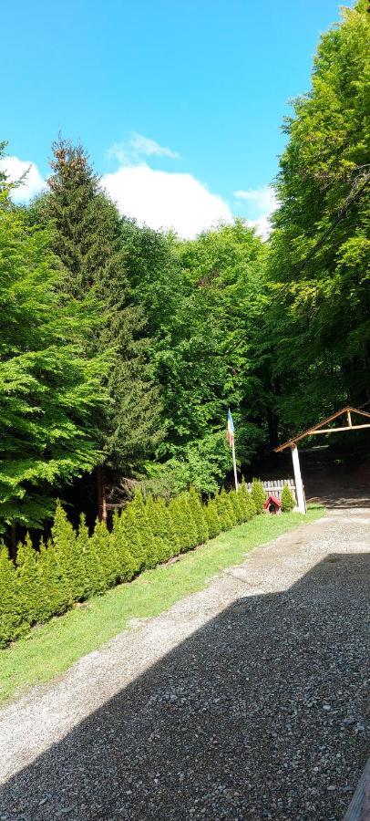 Cabana Valea Bradului Nucsoara  Ngoại thất bức ảnh